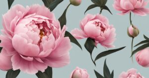 Piwonie kiedy kwitną: terminy, uprawa, odmiany, pielęgnacja i przesadzanie