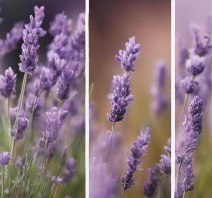 Styl prowansalski – jak urządzić wnętrze pełne uroku południa Francji?