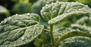 Mączniak prawdziwy zwalczanie: skuteczne metody i opryski na mączniaka