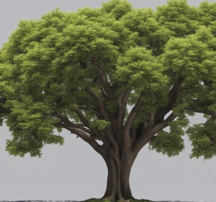 Drzewka ozdobne do ogrodu – piękne drzewa i krzewy liściaste dla Twojego domu