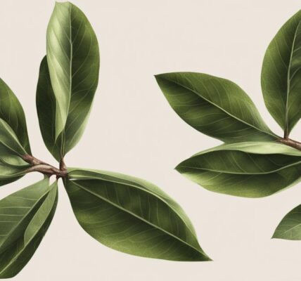 Laurowiśnia ukorzenianie w wodzie: Praktyczny poradnik ogrodniczy