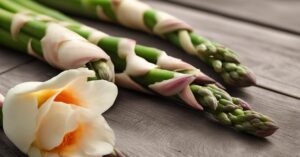 Kwiat Asparagus: Uprawa, Pielęgnacja, Przesadzanie i Rozmnażanie Rośliny Doniczkowej