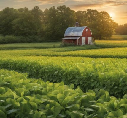 Jaki poplon pod warzywa - wysiewaj nasiona, przekopuj, walcz z chwastami