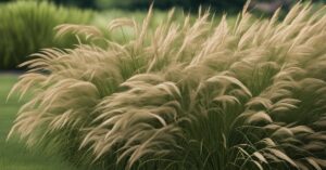 Aranżacje ogrodu z trawami ozdobnymi: inspiracje i porady na wyjątkowy projekt