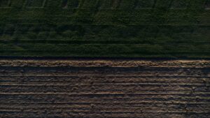 Wybierz glebogryzarkę idealną dla Twojego projektu! Zobacz, na co zwr&oacute;cić uwagę przed zakupem