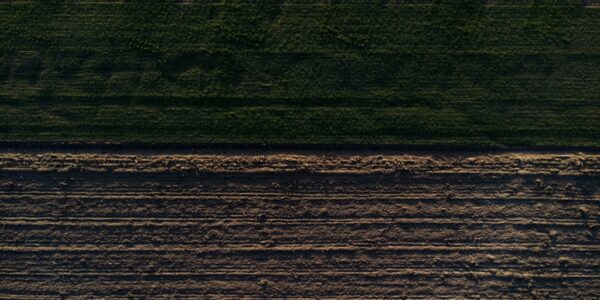 Wybierz glebogryzarkę idealną dla Twojego projektu! Zobacz, na co zwrócić uwagę przed zakupem