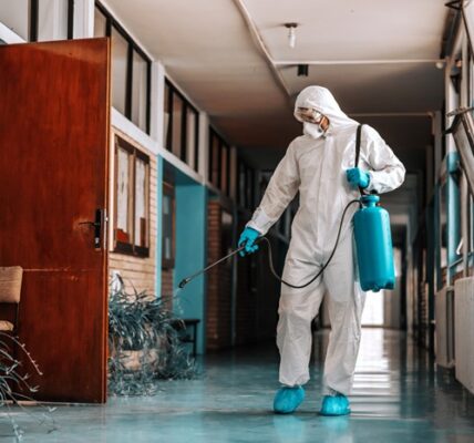 Usługi DDD – kiedy trzeba się na nie zdecydować?