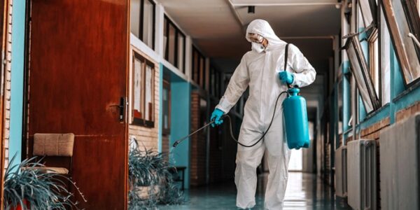 Usługi DDD – kiedy trzeba się na nie zdecydować?