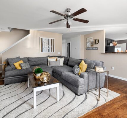 Dywany od producenta – wszystko, co warto wiedzieć